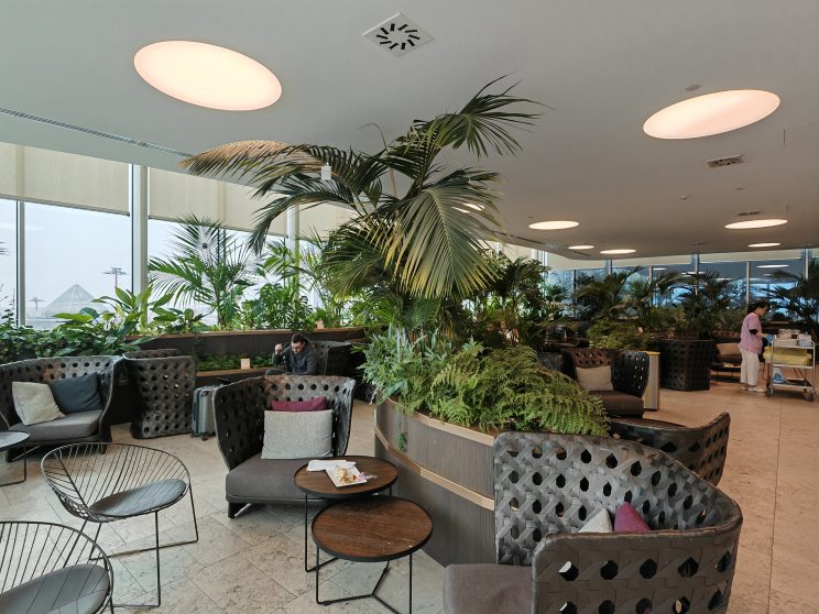 Marco Polo Lounge Indoor Plants